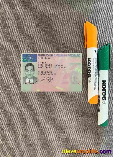 Germany driving license photolook